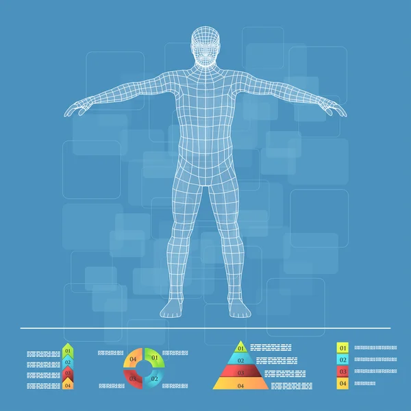 Description schématique du corps humain — Image vectorielle