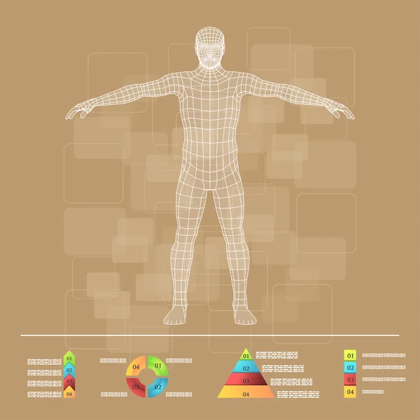 Descripción esquemática del cuerpo humano — Archivo Imágenes Vectoriales