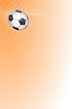 kapı futbol topu