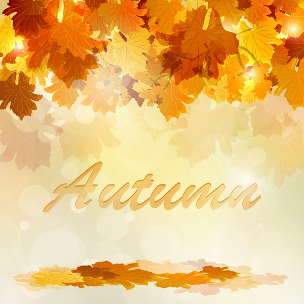 Colorful autumn leaves Background — Stock Vector