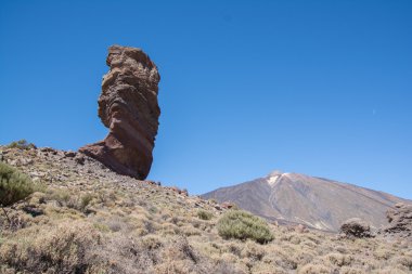 Tenerife 'de gezinti