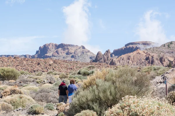 Tenerife 'de gezinti