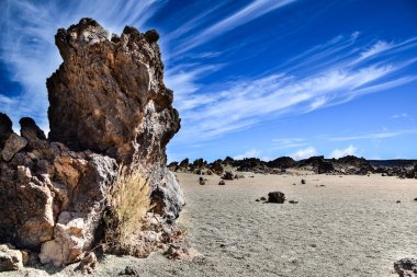Tenerife 'de gezinti