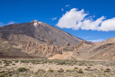 Tenerife 'de gezinti