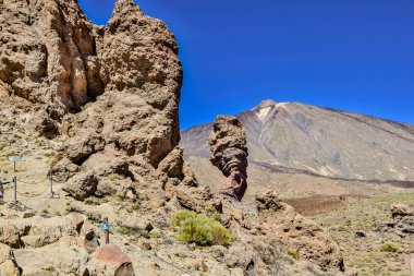 Tenerife 'de gezinti