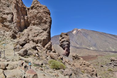 Tenerife 'de gezinti