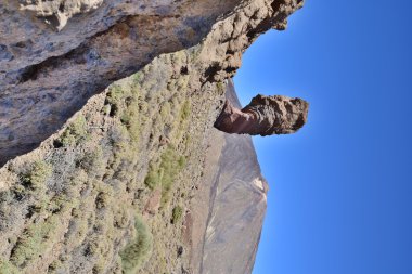 Tenerife 'de gezinti