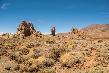 Tenerife 'de gezinti