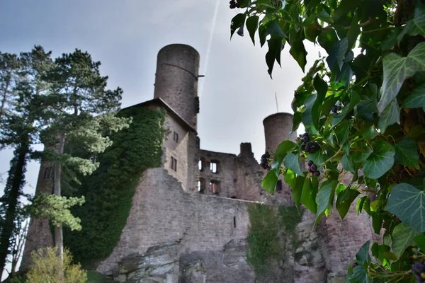 Il castello Hanstein — Foto Stock