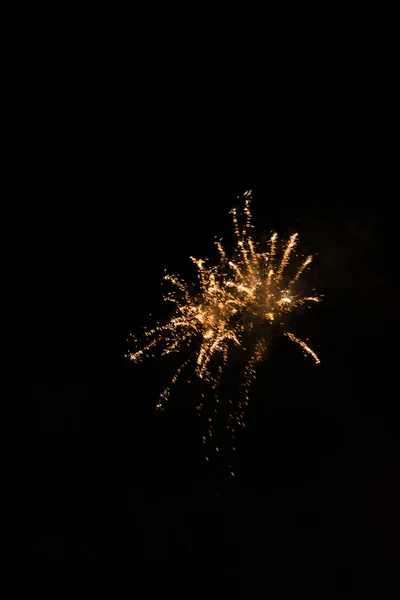 Fireworks in the night — Stock Photo, Image