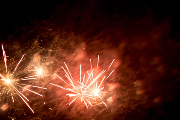 Fireworks in the night Royalty Free Stock Images