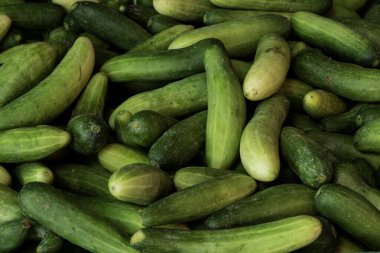 Salatalık, (Salatalık Sativus Linn.) Bir tepside, bir sokak pazarında bir araya toplanmışlar..