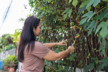 Ön bahçe dallarını budama makası ile budama yapan, bahçe bakımına odaklanan, hassas budama, mevsimlik bahçe bakımı, sağlıklı bitki yetiştirme, ve açık hava düzenlemesi yapan bir kadın..