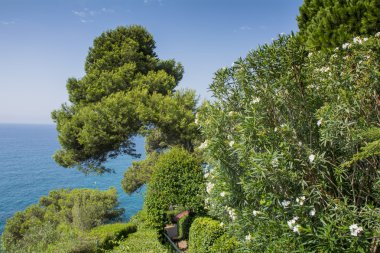 Deniz Manzaralı Bahçe