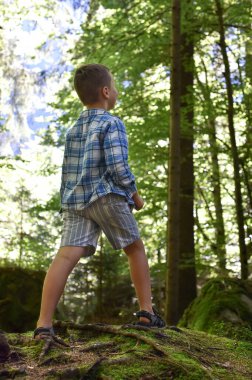 Ormanda yürüyen sevimli küçük çocuk. Turist yürüyüşü.