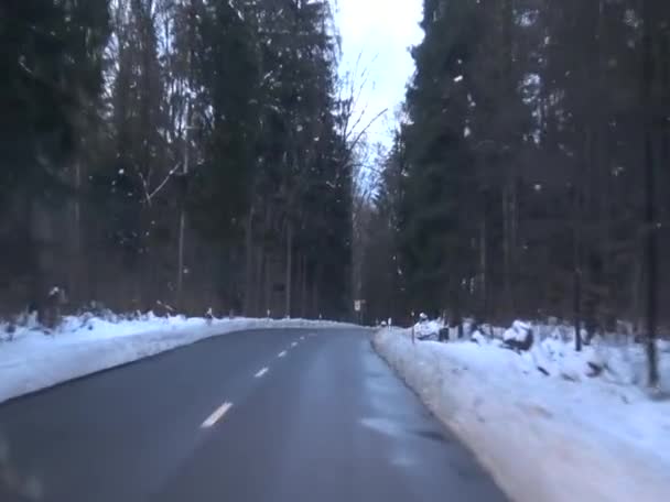 Driving Car Winter Forest Road — Stock Video