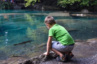 Blausee İsviçre, doğal parktaki güzel mavi göl. Küçük çocuk suyu izliyor.