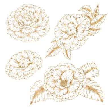 Altın çizgili frezya çiçekleri, düğün kırtasiyesi tasarım elementleri, yaz botaniği