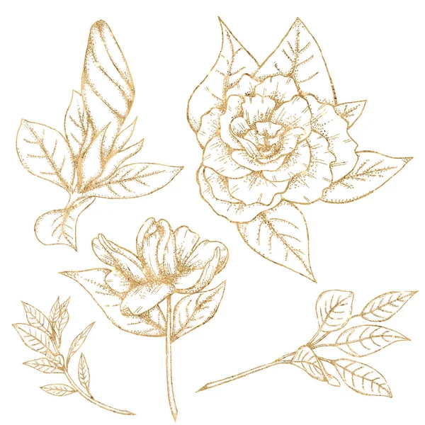 Gouden Romantische Gardenia Bloemen Gouden Lijn Botanica Bruiloft Design Elementen — Stockfoto