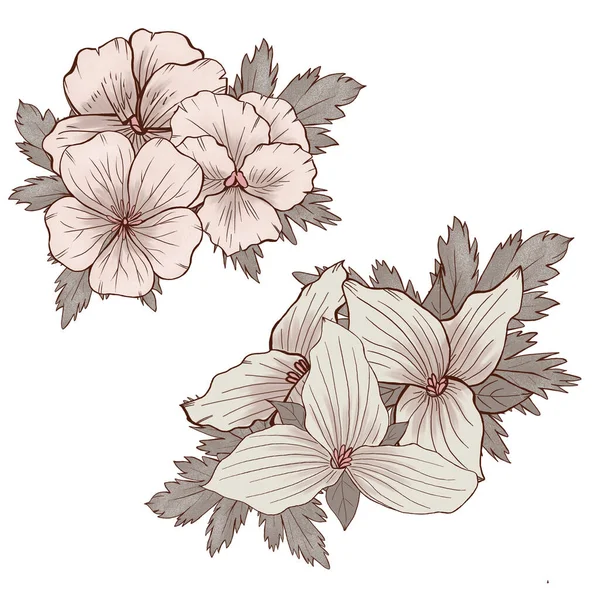 Mazzo Fiori Beige Pansy Composizione Floreale Trullium Bianco Illustrazione Botanica — Foto Stock