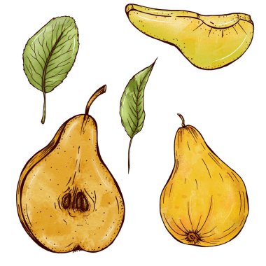 Yapraklı sulu sarı armutlar, parlak renkli, suluboya desenli resimler, sağlıklı yiyecekler, olgun meyveler.