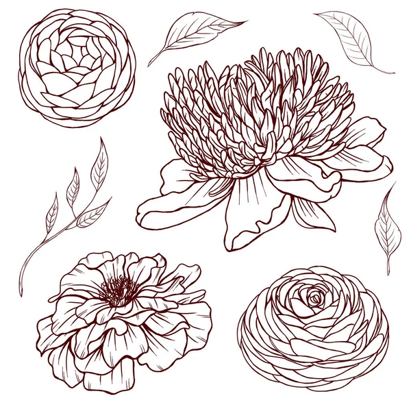 Black summer flowers line art, garden flowers sketch, peony, raununculus, leaves, summer botanica, wedding design elements