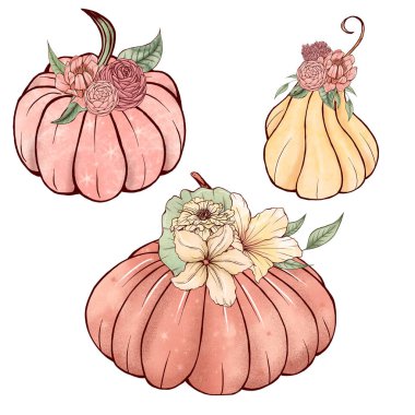 Lovely pink and yellow pumpkins with flowers, seasonal harvest, trendy thanksgiving decoration, halloween design elements, happy fall