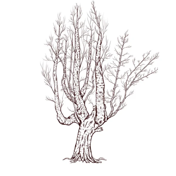 Mystic Tree Sketch Spooky Fall Tree Leaves Winter Tree Black — Stock Photo, Image