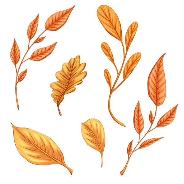 Aranyos Sárga Narancs Őszi Levelek Hangulatos Ősz Színes Design Elemek Jogdíjmentes Stock Képek