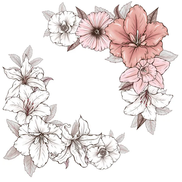 Прекрасный Цветочный Уголок Границы Иллюстрация Розовый Цветок Белая Ботаника Летний — стоковое фото