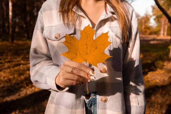 밝은 플 래드 코트 를 입은 여인은 공원을 걷는 동안노란 단풍나무 잎을 들고 있었다. 야외에서의 아늑 한 가을 시즌. 도시 컨셉에서 가을. 매력적 인 젊은 여자가 공원이나 숲 속을 걷고 있다. 가을 잎. — 스톡 사진