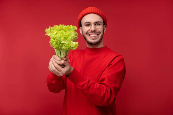 Foto van een aantrekkelijke man met baard in bril en rode kleding. Mannelijke houdt salade, toont voorkeur voor groenten, geïsoleerd ten opzichte van rode achtergrond — Stockfoto