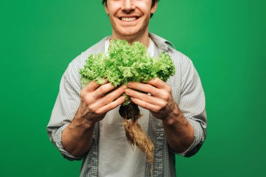 Adam yeşil arka planda izole edilmiş, gülümsemeli salata tutuyor.
