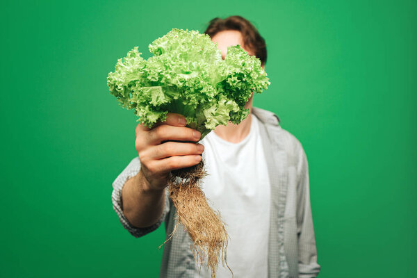 Закрыть человек держит салат, изолированный на зеленом фоне