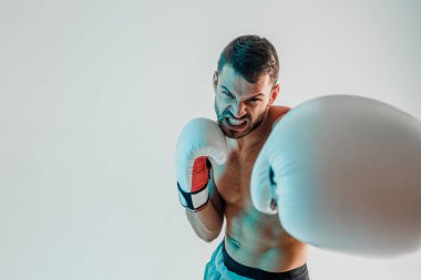 Kızgın genç sakallı Avrupalı boksör boks yapıyor.