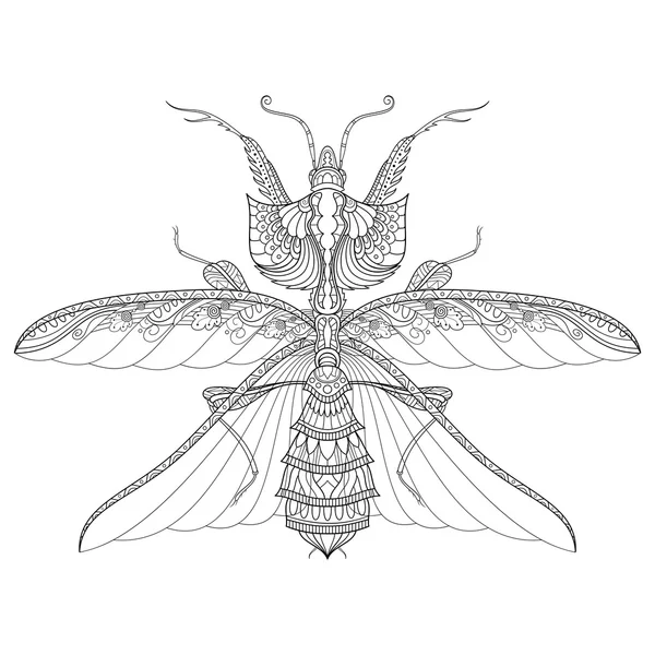 Vector tekening of Devil's Flower Mantis Idolomantis Diabolica — Stockvector