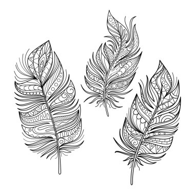 Güzel Deco tüyler vektör kümesi