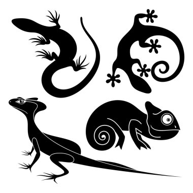 Vektör kabile dekoratif kertenkele ayarla