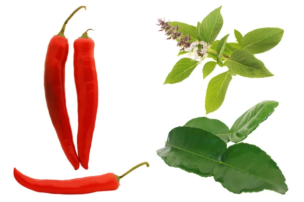 Ingredienti di curry verde su sfondo bianco . — Foto Stock