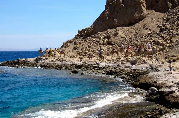 Turist kervanı, Sina 'daki mavi Kızıldeniz kıyısındaki bir uçurumun altında develer üzerinde.