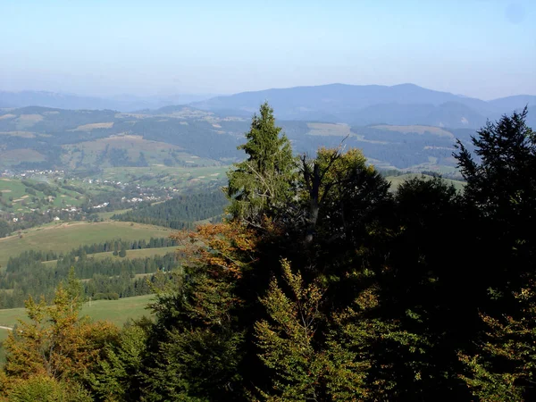 Grüne Bäume Berghang Vor Dem Hintergrund Von Bergen Und Himmel — Stockfoto