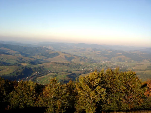 秋の山々や高地の谷の風景を背景に前景の木 — ストック写真