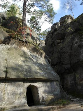 İnsan yapımı bir mağaranın girişi bir kayanın içinde, gökyüzünde bir çam ağacı ve kırmızı kızılcık çalısı olan bir mağara. Karpat Dağları, Dovbush Kayalıkları