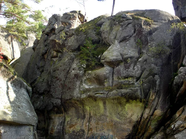 Volto Leone Scolpito Nella Roccia Ricoperto Muschio Verde Arbusti Montagne — Foto Stock