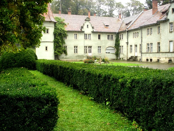 Hedge of trimmed into a square shape of the bushes in the direction of the building Shenborn Castle