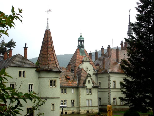 Toit Carrelé Rouge Humide Avec Tourelles Palais Shenborn — Photo