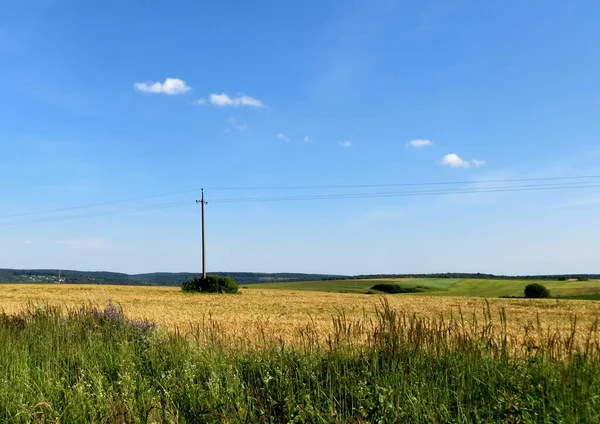 Grünes Gras Gelbes Feld Strommast Und Drähte Vor Blauem Himmel — Stockfoto