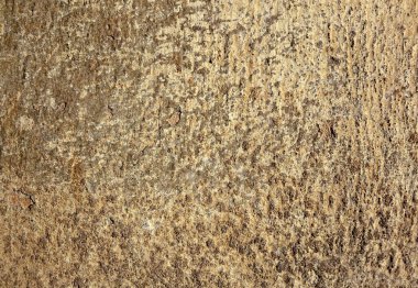 Sarı-gri renkte duvar boyası kabuğu soyulmuş. Yaşlanmış alçı