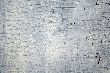 Çatlak boya ve yengeç desenli eski ahşap duvar. Eskisinin üzerine yeni beyaz boya sürülmüş çirkin bir resim..