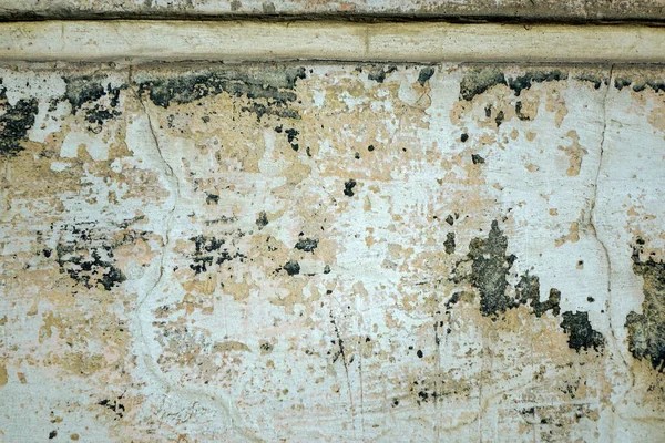 Duvarın alçısında yeşil boya kalıntıları var. Yüzeyde çatlaklar ve beyaz-sarı kabuklu noktalar